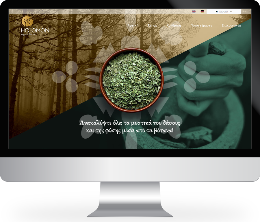 Holomon Website by NBW Internet Wizards